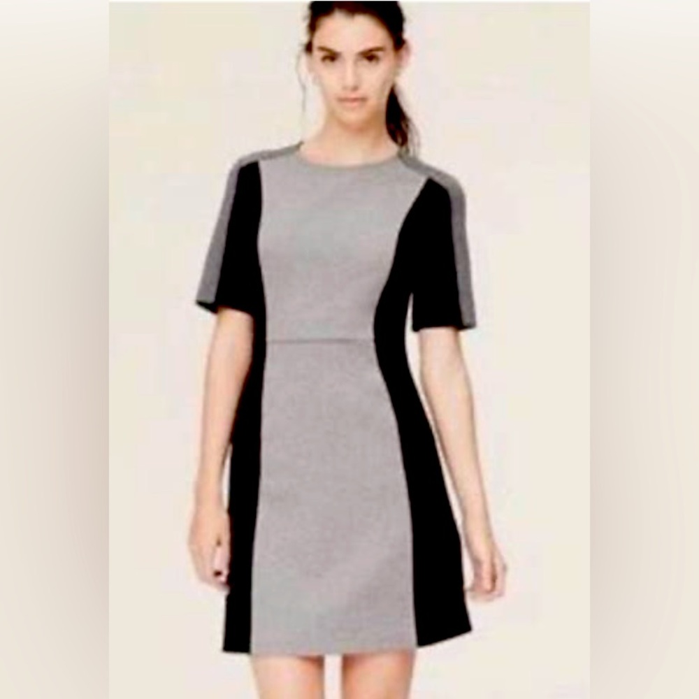Loft Gray and Black Color Block Knit Dress, Size 2P